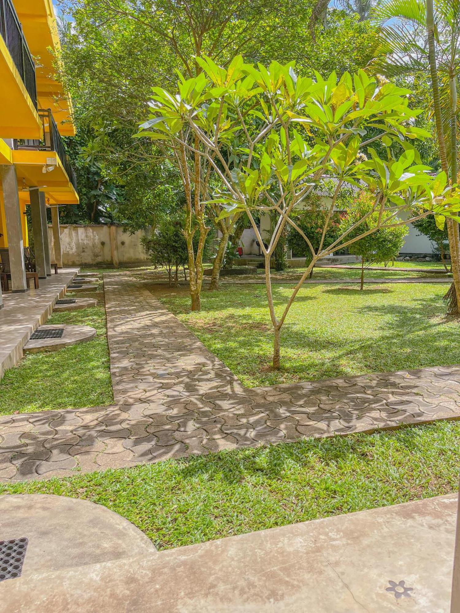 Easy Living Hotell Hikkaduwa Exteriör bild